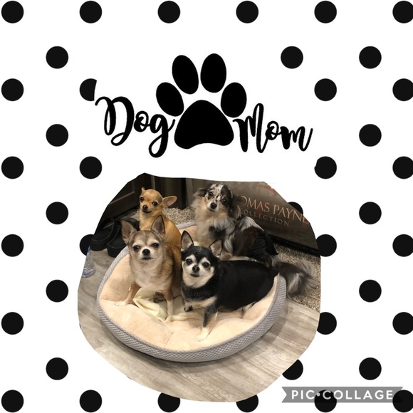 Meet your Posher, Sarah - Picture 3 of 4